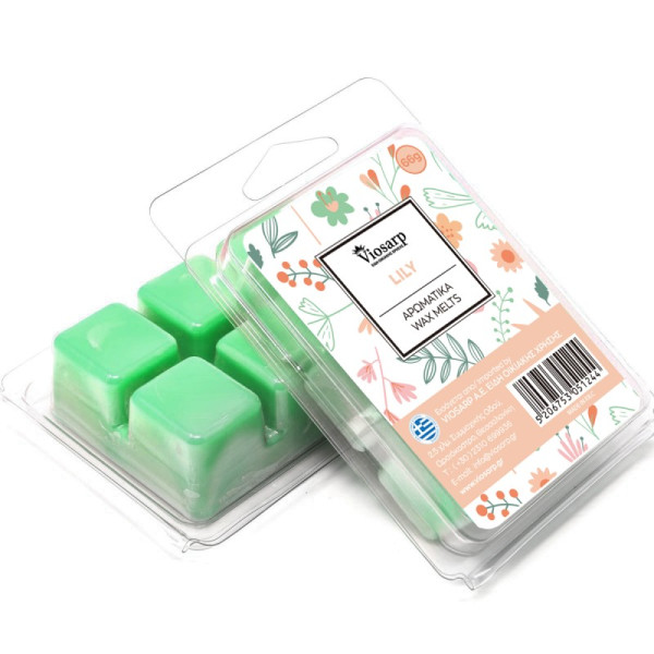 ΑΡΩΜΑΤΙΚΑ WAX MELTS 6ΤΕΜΑΧΙΩΝ 66G No997041 lily ΑΡΩΜΑΤΙΚΑ WAX MELTS 6ΤΕΜΑΧΙΩΝ 66G No997041 lily