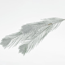 Beauty Home ΚΛΑΔΙ ΦΤΕΡΗ 99 CM