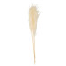 Beauty Home PAMPAS ΕΚΡΟΥ 80 CM   3 ΤΜΧ
