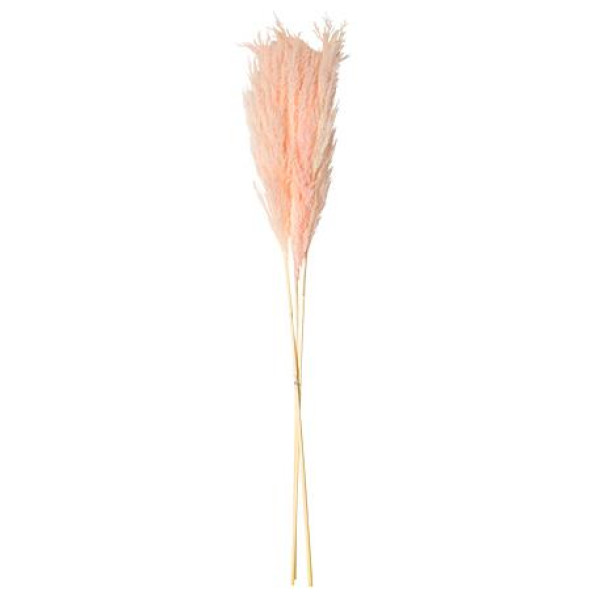 Beauty Home PAMPAS ΡΟΖ 80 CM  3 ΤΜΧ