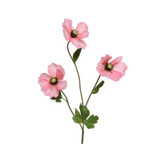 Beauty Home ΠΑΠΑΡΟΥΝΑ ΡΟΖ 71 CM