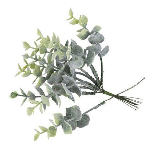 Beauty Home ΤΕΧΝHΤΑ ΚΛΑΔΑΚΙΑ ΕΥΚΑΛΥΠΤΟΥ 17 CM