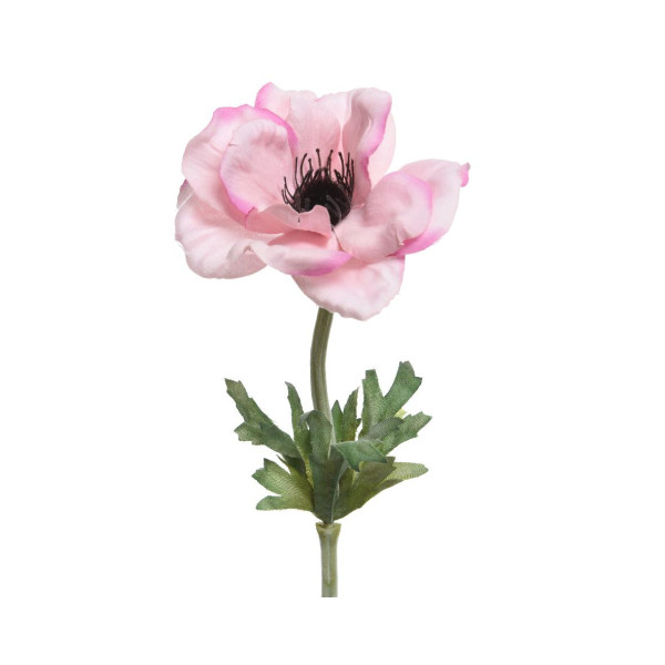 Beauty Home ΑΝΑΕΜΩΝΗ 57 CM
