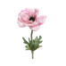 Beauty Home ΑΝΑΕΜΩΝΗ 57 CM
