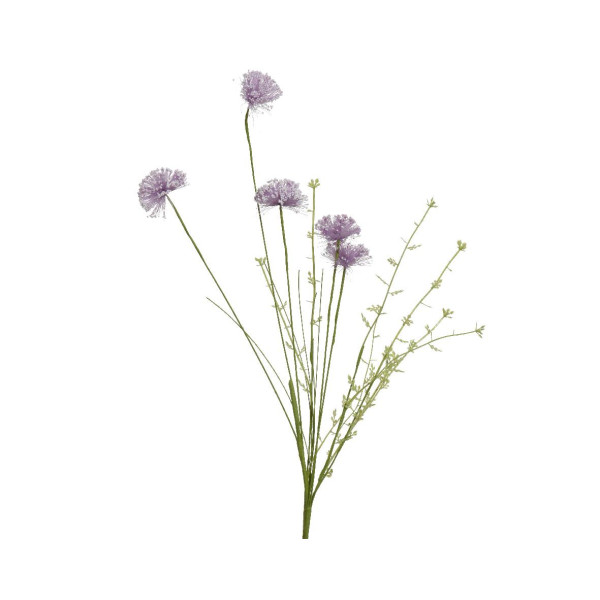 Beauty Home ΛΟΥΛΟΥΔΙ  60cm