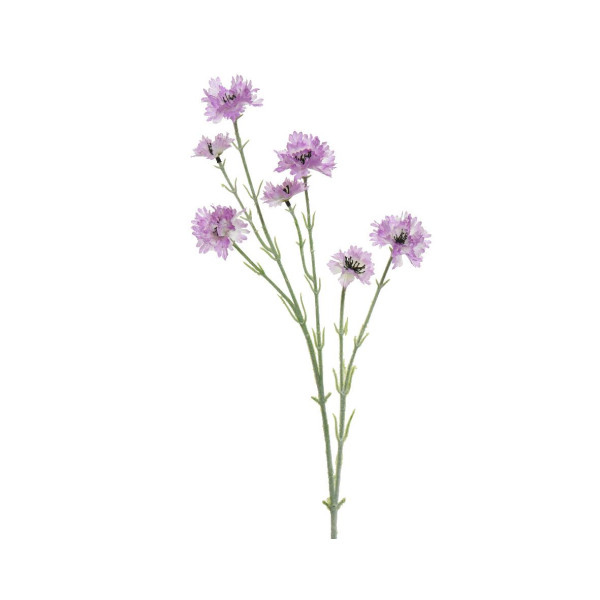 Beauty Home ΛΟΥΛΟΥΔΙ 68 CM