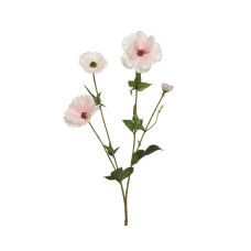 Beauty Home ΛΟΥΛΟΥΔΙ  67CM