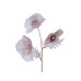 Beauty Home ΠΑΠΑΡΟΥΝΑ ΡΟΖ 76 cm