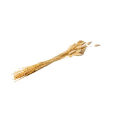 Beauty Home ΑΠΟΞΗΡΑΜΕΝΟ ΜΠΟΥΚΕΤΟ LAGURUS 70 CM