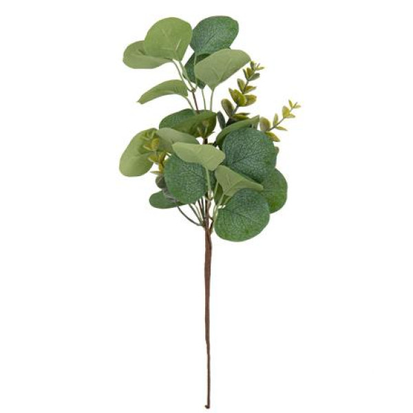 Beauty Home ΕΥΚΑΛΥΠΤΟΣ 35 CM
