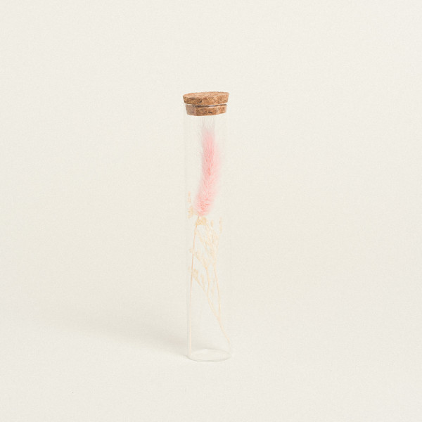 Beauty Home ΓΥΑΛΙΝΟΣ ΣΩΛΗΝΑΣ ΜΕ ΚΛΑΔΙΑ 3 x 18 cm  Ροζ