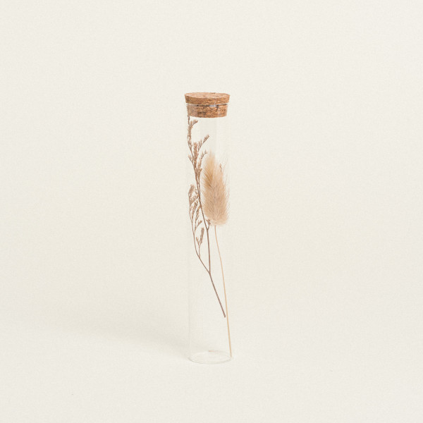Beauty Home ΓΥΑΛΙΝΟΣ ΣΩΛΗΝΑΣ ΜΕ ΚΛΑΔΙΑ 3 x 18 cm  Μπεζ