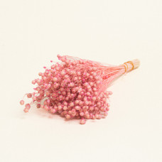 Beauty Home ΑΠΟΞΗΡΑΜΕΝΟ ΛΙΝΑΡΙ  Ροζ