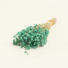 Beauty Home ΑΠΟΞΗΡΑΜΕΝΟ ΛΙΝΑΡΙ  Βεραμάν