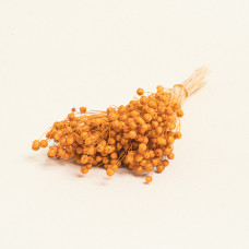 Beauty Home ΑΠΟΞΗΡΑΜΕΝΟ ΛΙΝΑΡΙ  Πορτοκαλί