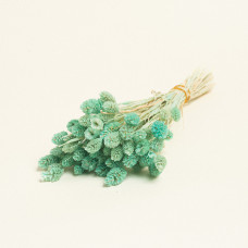 Beauty Home ΑΠΟΞΗΡΑΜΕΝΗ ΦΑΛΑΡΙΣ  Βεραμάν