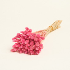 Beauty Home ΑΠΟΞΗΡΑΜΕΝΗ ΦΑΛΑΡΙΣ  Ροζ