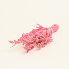 Beauty Home ΑΠΟΞΗΡΑΜΕΝΗ ΛΕΒΑΝΤΑ  Ροζ