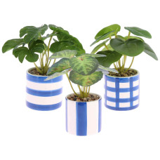 Beauty Home Τεχνητό φυτό σε κεραμική γλάστρα – Μπλε λευκή  Ø7,5x17cm