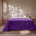Beauty Home Κουβέρτα υπέρδιπλη διπλής όψεως Art 11601 Jacquard fleece 700gsm Fiesta Plus 220x240 Εκρού,Μωβ