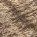 Beauty Home Χαλί Prestige Art 9316 160x230 Beige Brown - Μπεζ Καφέ