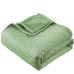 Beauty Home Κουβέρτα μονόχρωμη μονή Fleece Art 11552 160x220 Πράσινο