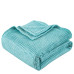 Beauty Home Κουβέρτα μονόχρωμη υπέρδιπλη Fleece Art 11554 220x240 Τυρκουαζ