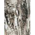 ΠΑΤΑΚΙ  ΑΝΤΙΟΛΙΣΘΗΤΙΚΟ TREE 50Χ80 LINEAHOME 50X80 LH2026593