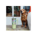  Quokka Handled Tumbler Θερμός Ανοξείδωτο BPA Free 720ml Green Tea με Καλαμάκι και Λαβή
